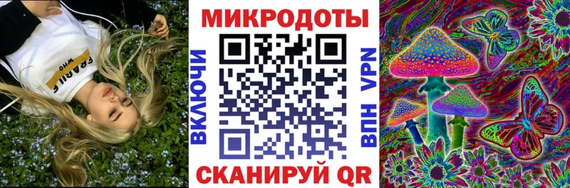 Купить закладки  Приморско-Ахтарск  Псилоцибиновые грибы ЛСД 